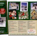 Design and Production

Package stuffer for National Wildlife Catalog card program.